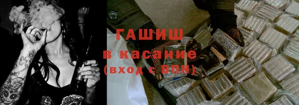 хмурый Аркадак