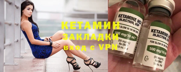хмурый Аркадак