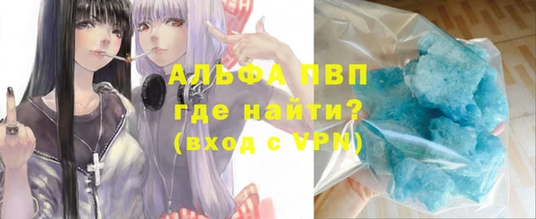 хмурый Аркадак