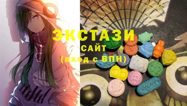хмурый Аркадак