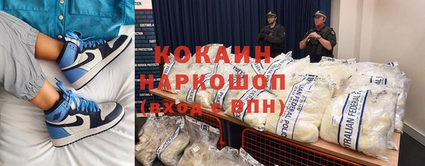 хмурый Аркадак