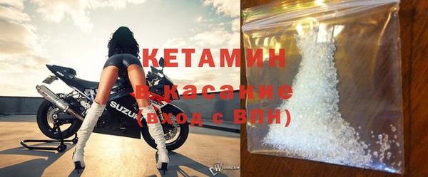хмурый Аркадак