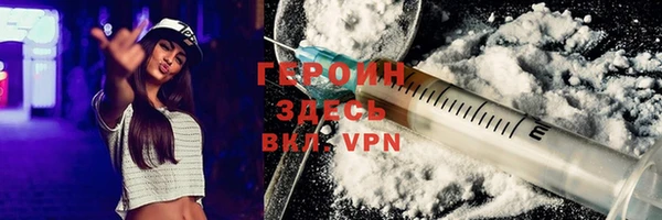 хмурый Аркадак