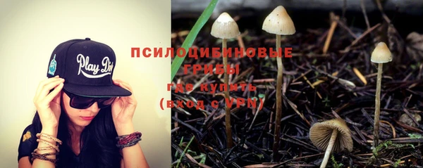 мескалин Арсеньев