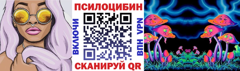 как найти закладки Всеволожск kraken ССЫЛКА Галлюциногенные грибы прущие грибы